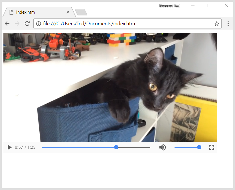 A video of my cat in the web browser